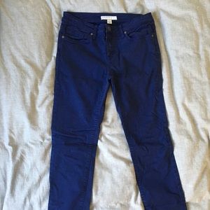 Joie Blue Skinny Jean